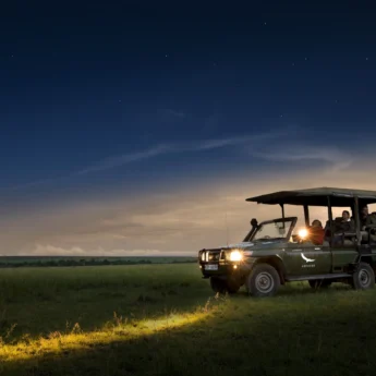 Night Drive, Bateleur Camp, Mara Conservancies, Kenya