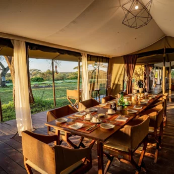 dining, camp fire, lemala mara, the serengeti, tanzania
