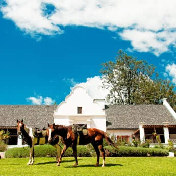 Horses, The Manor at Ngorongoro, Ngorongoro Crater, Tanzania