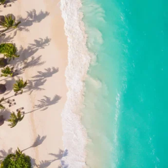 An overhead shot of a white sand beach, lined with palm trees and the turquoise ocean - Yellow Zebra Travel