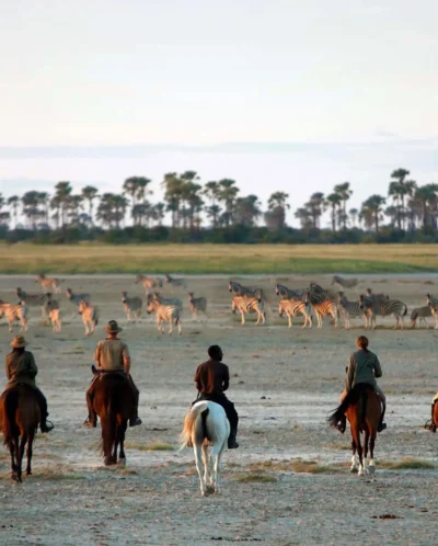 Horse Riding On The Pans, Camp Kalahari