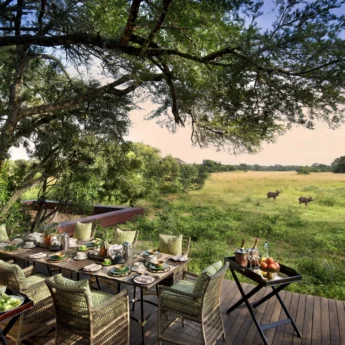 Wooden decking with laden dinner table overlooking verdant reserve, andBeyond Phinda Vlei Lodge, South Africa - Yellow Zebra Safaris