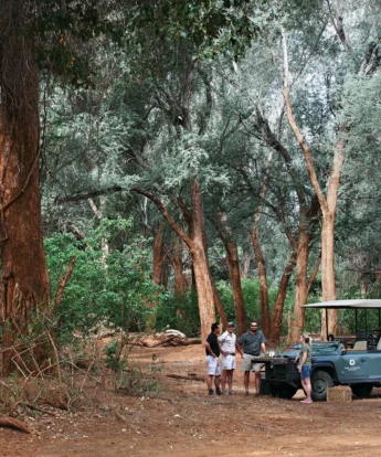 game drive, makuleke contractual park, south africa