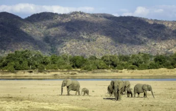 valleys and foothills, south luangwa national park, zambia