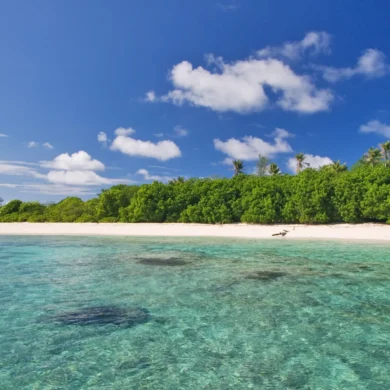 hirondelle beach, bird island, seychelles, africa safaris
