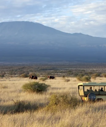 Game drive in Amboseli at Elerai Camp, Kenya