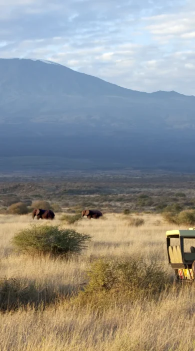 Game drive in Amboseli at Elerai Camp, Kenya