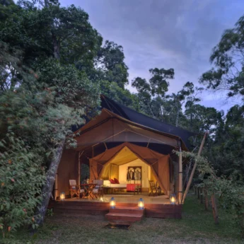 Luxury safari tent, Elephant Pepper Camp, Kenya