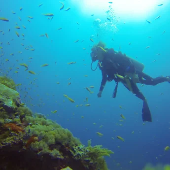 5 activities diving 3
