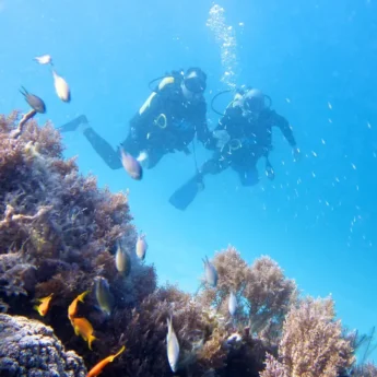 090 DIVE 1