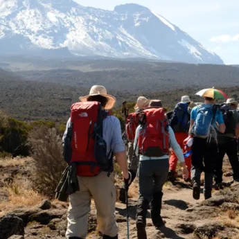 Lemosho Route, Mount Kilimanjaro, Experiences, Tanzania