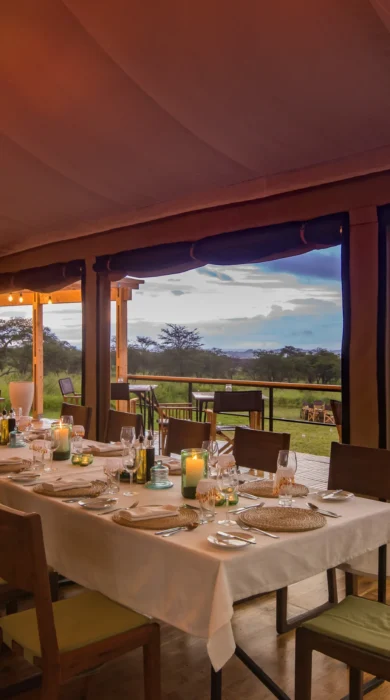 dunia camp dining tanzania yellow zebra safaris