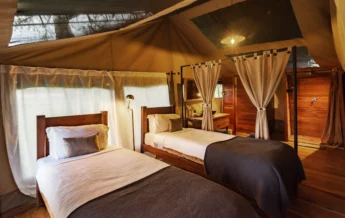 dunia camp twin bedroom tanzania yellow zebra safaris