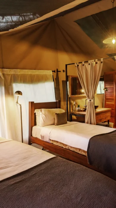 dunia camp twin bedroom tanzania yellow zebra safaris