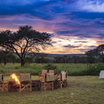 dunia camp sundowners tanzania yellow zebra safaris