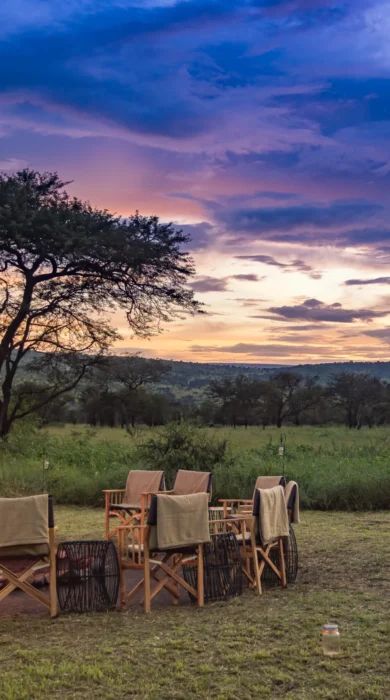 dunia camp sundowners tanzania yellow zebra safaris