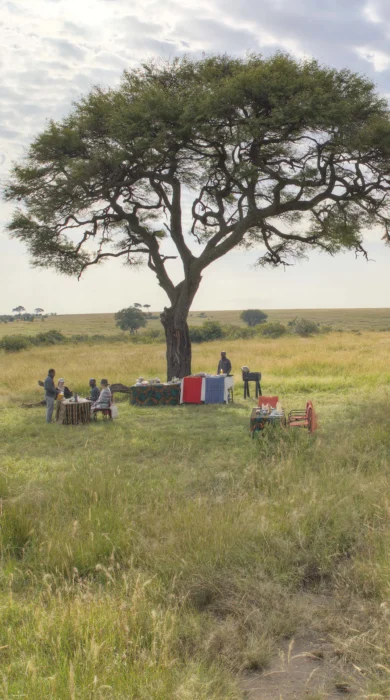 Olakira Bush breakfast in the serengeti