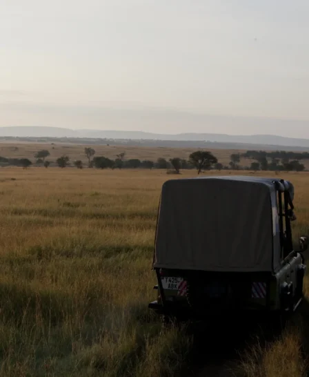 Olakira game drive