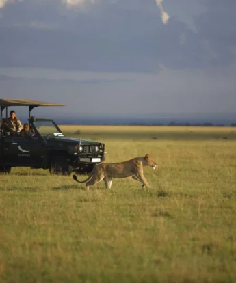 game drive, grumeti river lodge, serengeti, tanzania