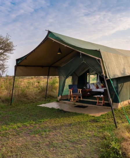 Guest Tent, Nasikia Mobile Migration Camp, Serengeti, Tanzania