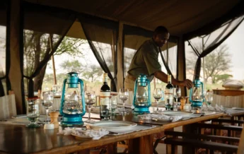serengeti safari camp dining tanzania yellow zebra safaris