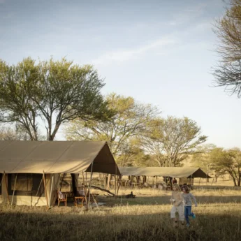 A row of tented accommodation sit in the grass as people walk by, Nomad Tanzania, Tanzania - Yellow Zebra Safari