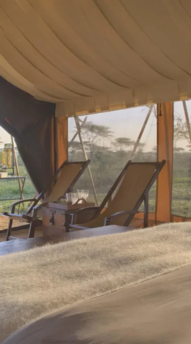 bedroom tent, and beyond serengeti under canvas, tanzania