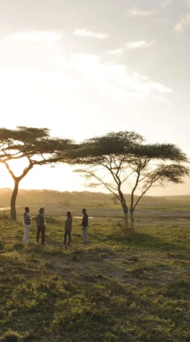 bush breakfast, and beyond serengeti under canvas, tanzania
