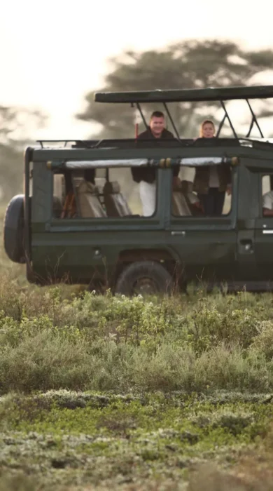 game drive, and beyond serengeti under canvas, tanzania