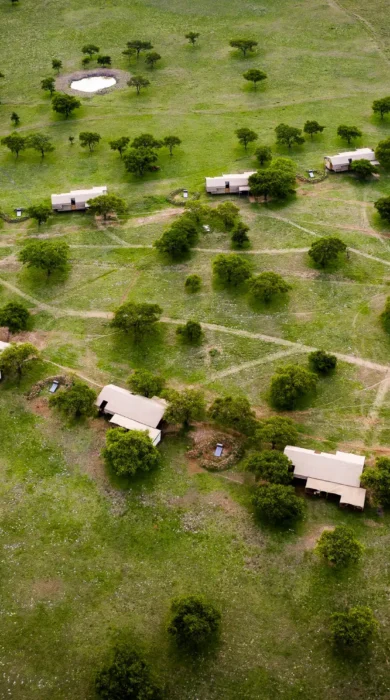 aerial view, singita sabora tented camp, tanzania