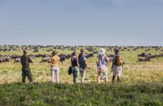 Walking safari experiences in Tanzania