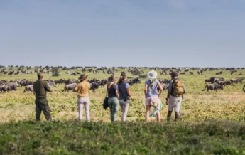 Walking safari experiences in Tanzania
