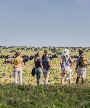 Walking safari experiences in Tanzania