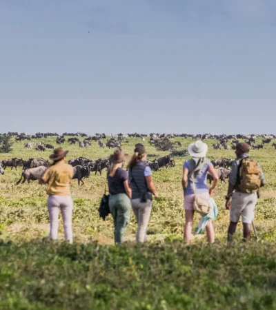 Walking safari experiences in Tanzania