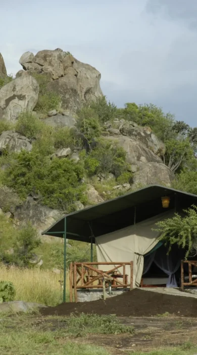 03 Tent Exterior Close Up