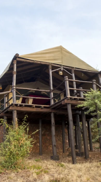 kirawira camp serena bedroom tent outside
