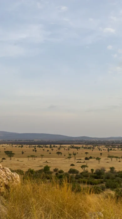 Kirawira Camp serena Nature Walk (1)