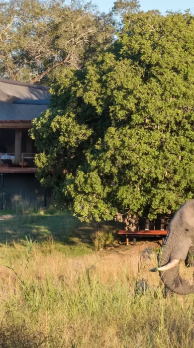 dulini-river-lodge - South Africa