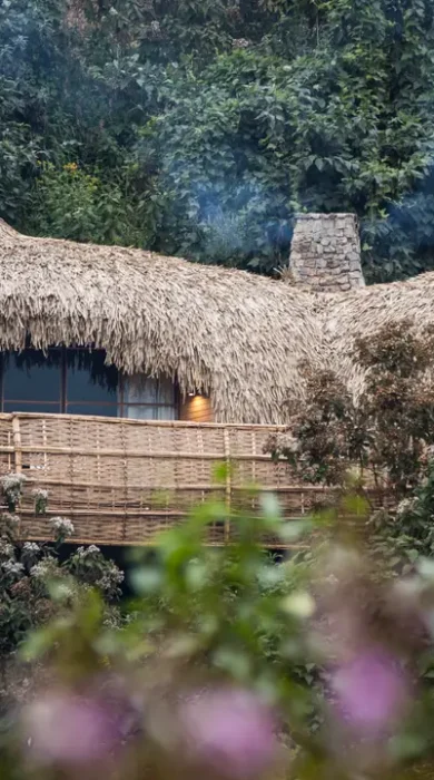 Bisatelodge - Rwanda