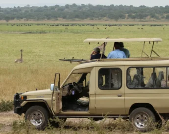 Game-drive-akagera-Rwanda