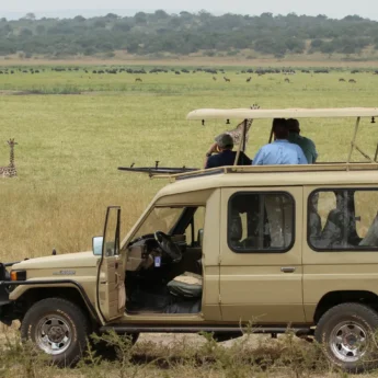 Game-drive-akagera-Rwanda