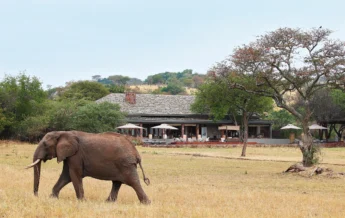 Singita Serengeti House Exterior