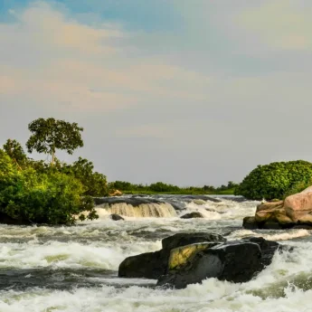 Rapids - Uganda