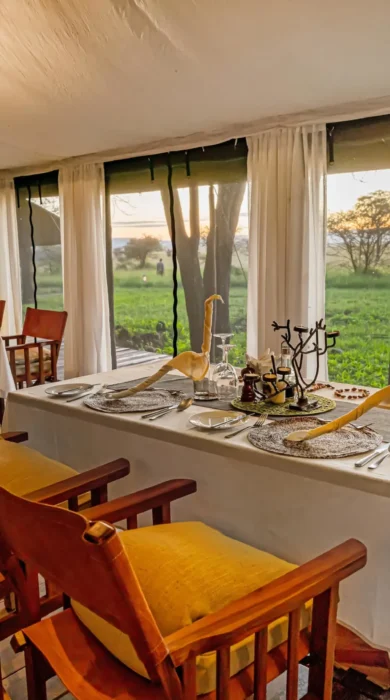 view, camp fire, lemala mara, the serengeti, tanzania