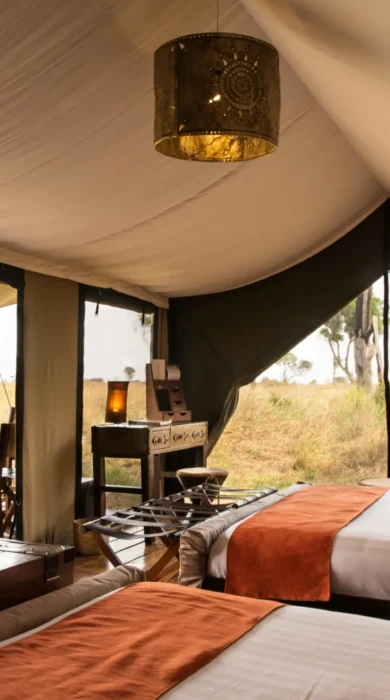 room view, lemala ndutu, the serengeti, tanzania