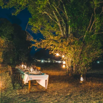 night dining, lemala ndutu, the serengeti, tanzania