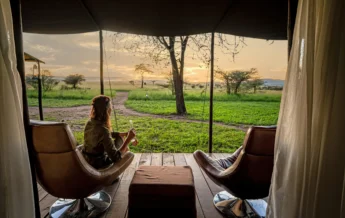 viewing, lemala ewanjan camp, the serengeti, tanzania