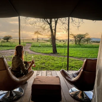 viewing, lemala ewanjan camp, the serengeti, tanzania