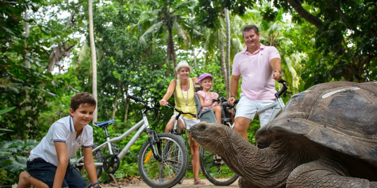Tortoise-Feeding-Seychelles
