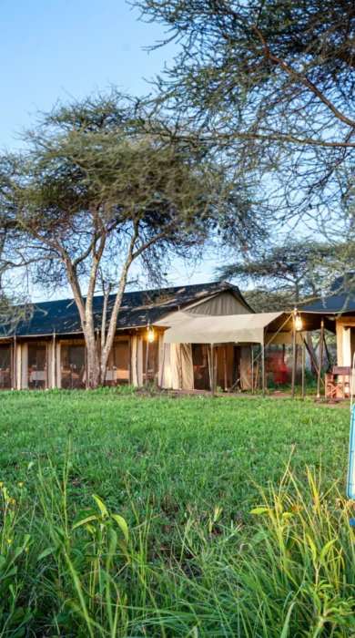 tent exterior, lemala ewanjan camp, the serengeti, tanzania